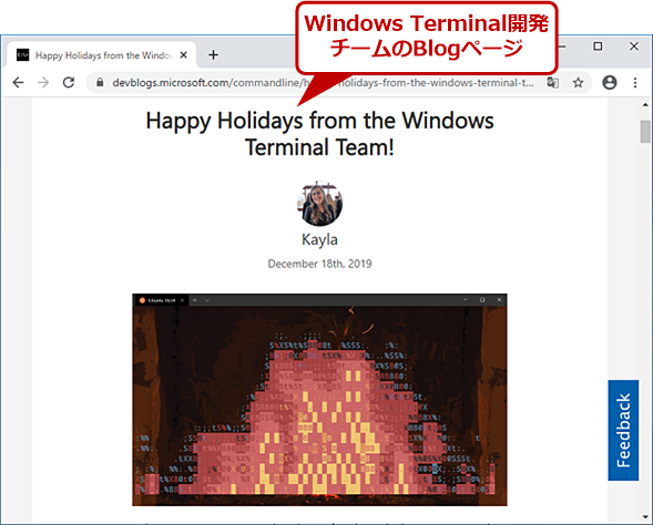Windows TerminalJ`[̃uOL