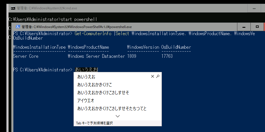 1@Windows Server, version 1809ȑOSACƁAWindows Server 2019ȑOLTSCServer CoreCXg[ł́AȂ{̓͂ƕϊł