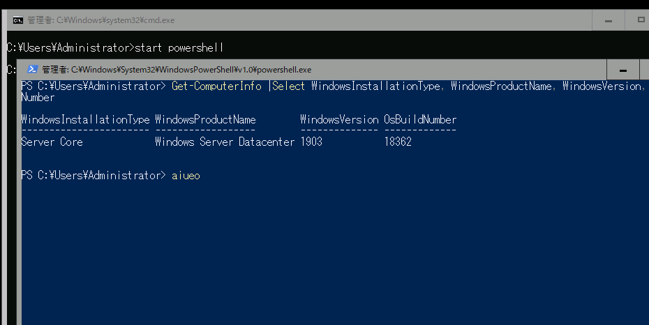 2@Windows Server, version 19031909ł́A{̓͂ϊSłȂ