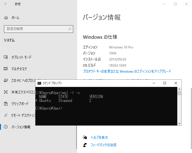 Windows 10 May 2019 Update^November 2019 UpdatełuWSL 2v̗p\Windows 10 May 2020 Updateio[W2004j̖ڋʋ@\łuWSL 2vWindows 10 May 2019 Update^November 2019 Updatełpł悤ɂȂB