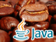 OracleAuJava 15v[X