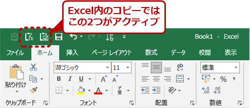 Excel̃Rs[̏ꍇ