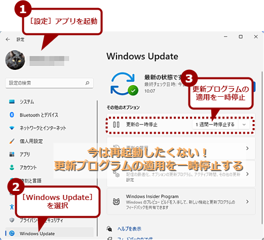 Windows 11でWindows Updateによる更新プログラムの適用を延期したい