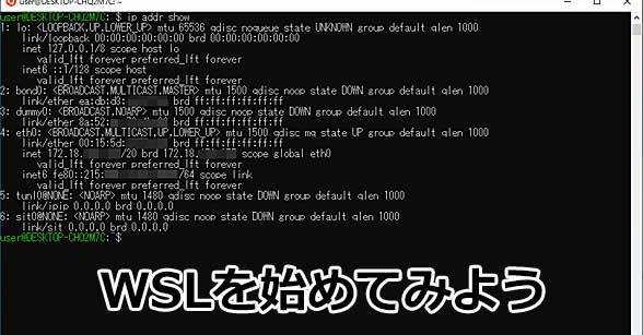 Windows 10／11でLinux環境「WSL」を始める第一歩：これから始めるWSL 