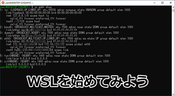 Windows 10／11でLinux環境「WSL」を始める第一歩：これから始めるWSL
