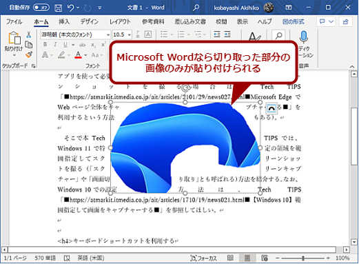 ؂̈Microsoft Wordɓ\t