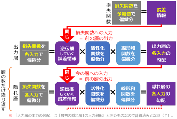 �}7�@�e�w�̊e�m�[�h�ł̌v�Z�p�^�[���͋��ʉ��ł���i�o�͑w��B��w�œ��͂̌��z���v�Z�����j