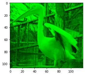 �΂̃`�����l���������o�����摜