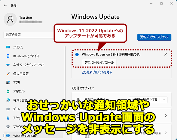 mWindows Updatenʂɕ\ĂuWindows 11 2022 Updatev̕\H