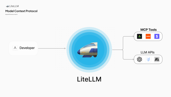 LiteLLM̊TO}iLiteLLM̌hLgj