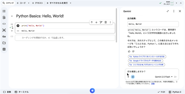 �R�[�h�����s����A���ɂ��邱�Ƃ̌�₪�\�����ꂽ