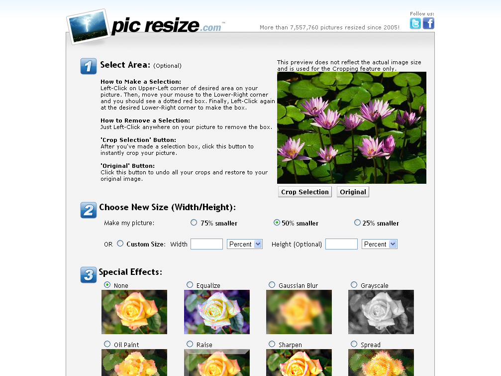 Free Online Picture Resizer