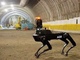 鹿島建設、トンネル工事に適した四足歩行ロボット「Spot」導入