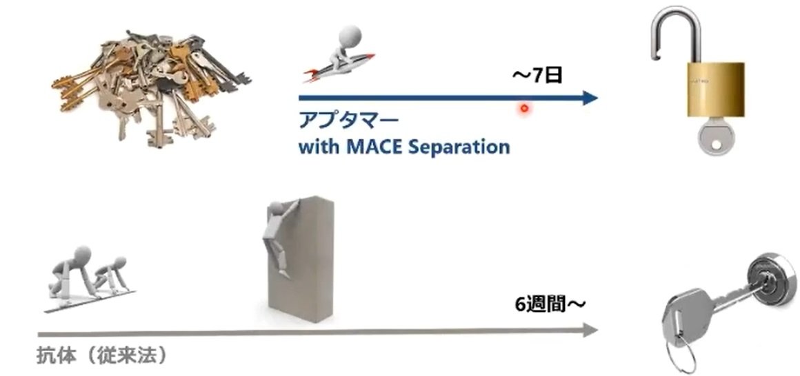 MACE SeparationpAv^}[̐x̃C[W