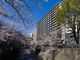 桜並木を望める延べ1万m2の分譲マンションが板橋区で竣工、コスモスイニシア
