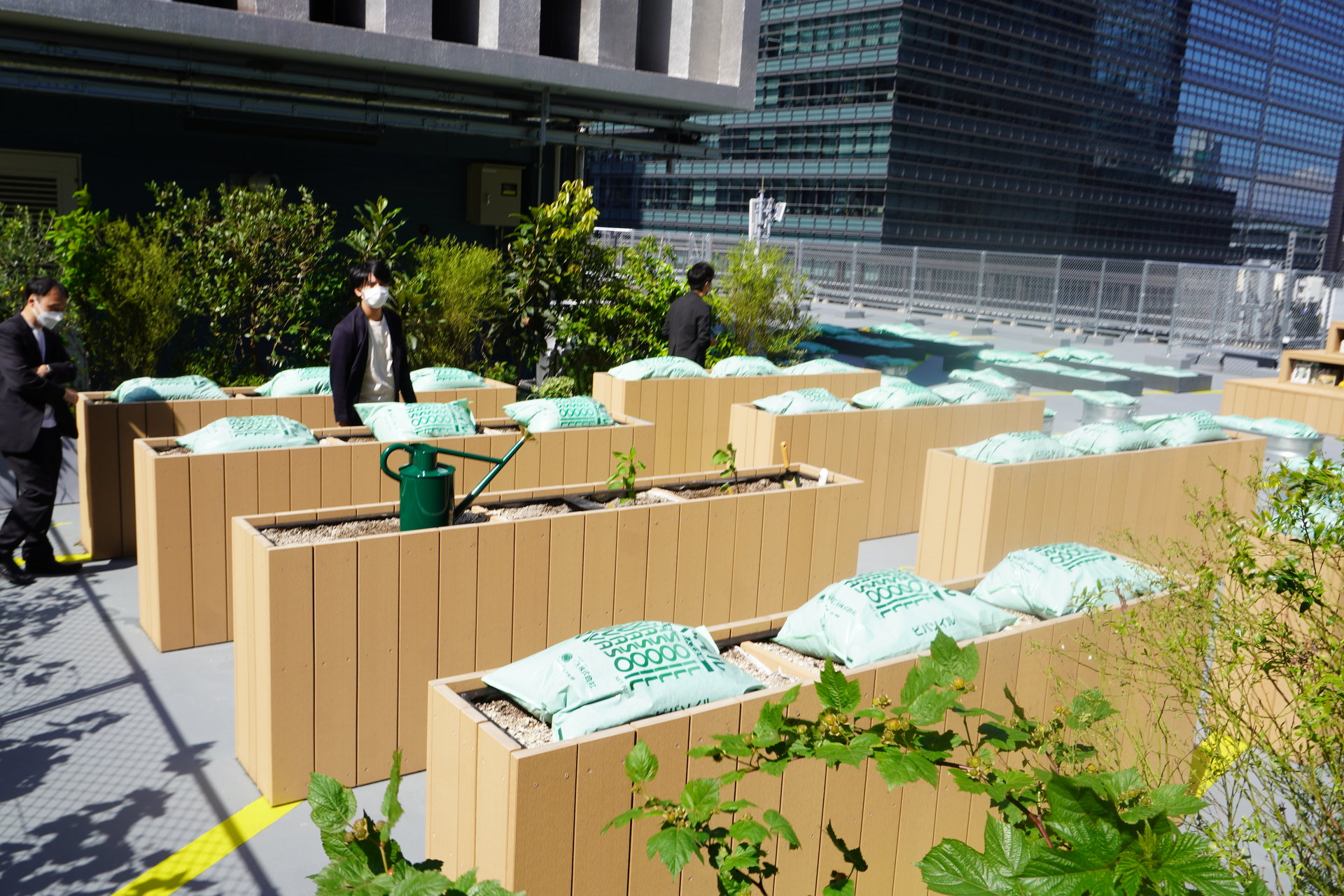 ŔIꂽu蒬rXJC{v́uThe Edible Park OTEMACHI by growv