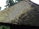 富谷観音小山寺がクラファン開始、国指定重要文化財「三重塔屋根」の応急修理で