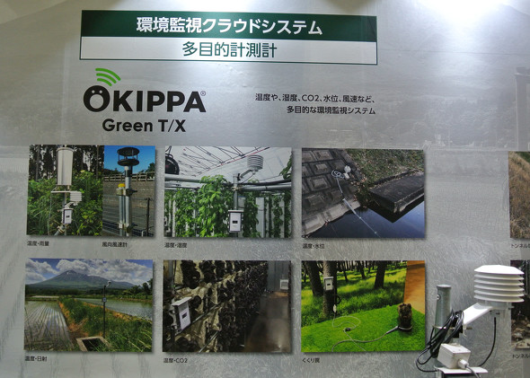 OKIPPA Green T^X̊pWpl