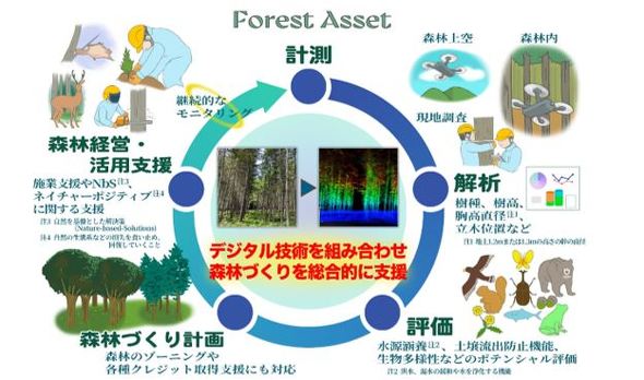 uForest Assetv̊Tv