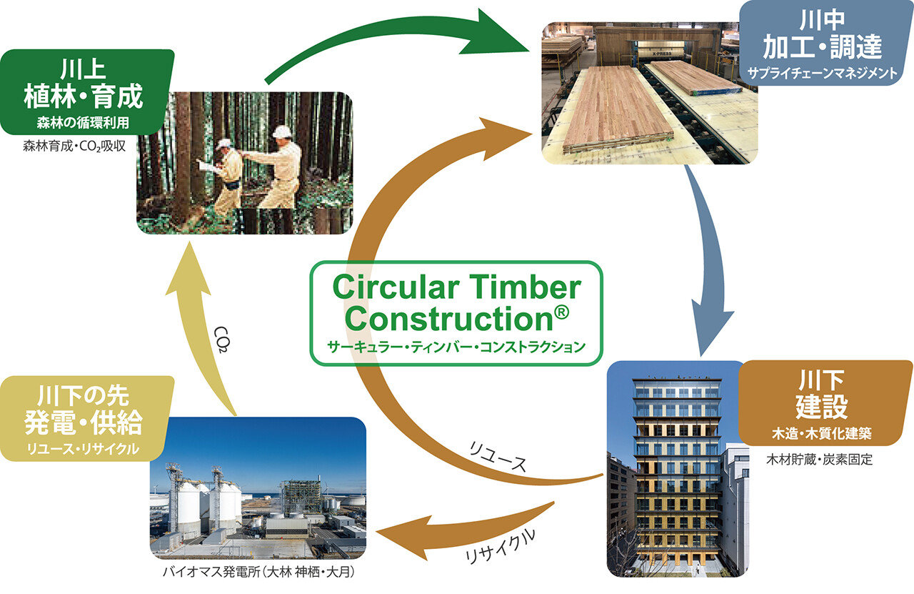 уO[vuCircular Timber ConstructionṽC[W@oTFёgvX[X