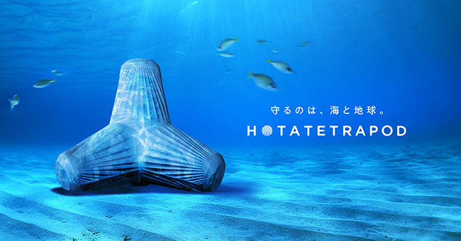 ホタテの貝殻からテトラポッド製造、砂の使用量を半減 清水建設らが