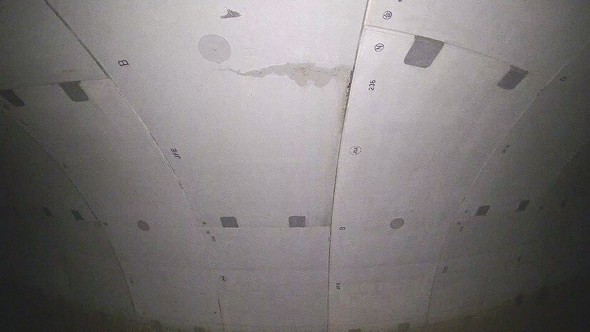 tśugCAF莖Ɓvł̓_ƖFIBIS2ɂBe摜