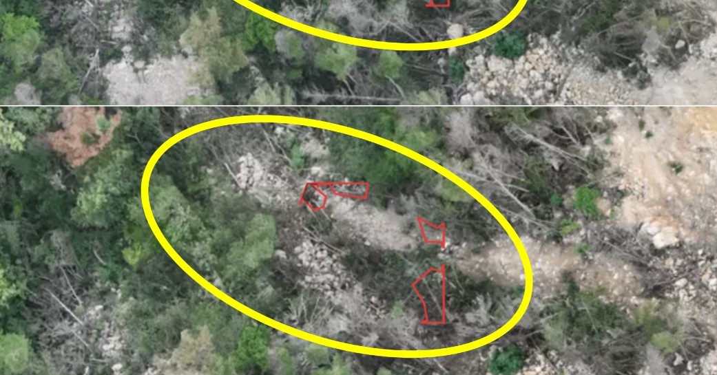 画像が削除されました