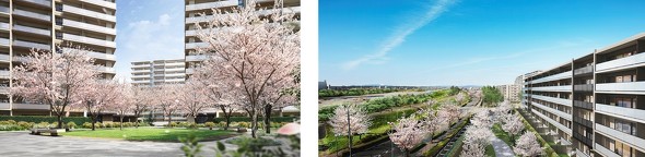 左から「サクラリング」完成イメージ、「サクラノソノ」完成イメージ