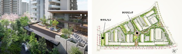 共用施設外観完成イメージ、敷地配置概念図