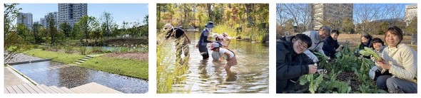 �|���H���X�̎��g��