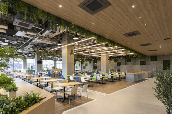 ���p���uALCO BRIDGE�v�����X�g����