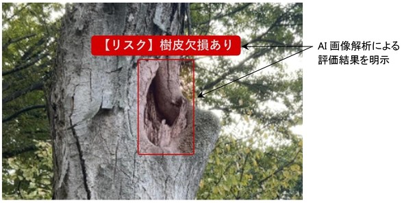 AI�ɂ�郊�X�N�]���̃C���[�W