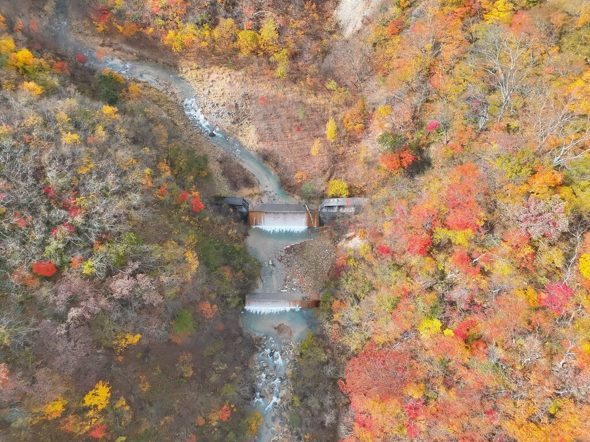 ���ۂɎB�e�����摜