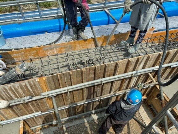 �uCELBIC-RA�v�̑ō��ݏ�