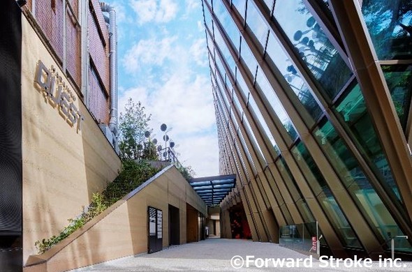 �\�Q���ƌ��h�G���A�^�|���ʂ葤���Ȃ��p�T�[�W���i�~�n���ʘH�j