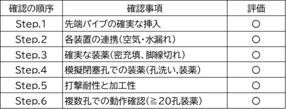 ���؎����ɂ�����m�F��������т��̕]��