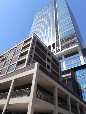 ��O�̌����������l�s���ɂ����C�����u�U ���K�V�[�v�A���Ɍ����w�������u�^���[�v��