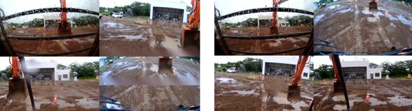 BAERT���\���؉f���B����BAERT�I�t�f���ł́A�J�̉e���Ń{�P����ꂪ�݂���