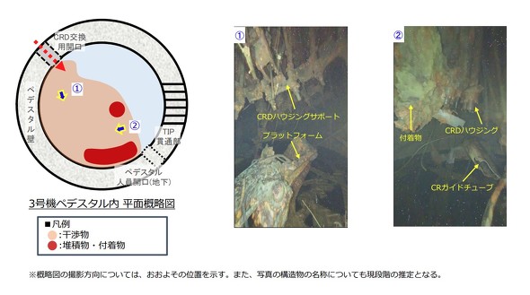 3��12����3���@�y�f�X�^�����̒����T���}�ƎB�e�摜1