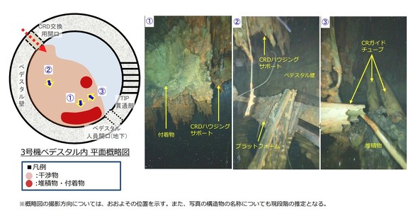 3��12����3���@�y�f�X�^�����̒����T���}�ƎB�e�摜2