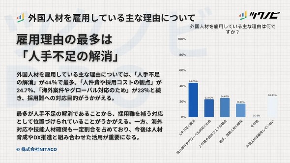 �O���l�ނ��ٗp�����ȗ��R