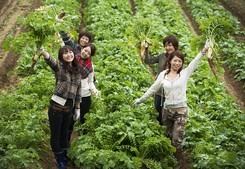 パソナ岡山 農業女子 募集 岡山県久米南町で独立就農などを支援 Itmedia ビジネスオンライン