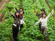 パソナ岡山、“農業女子”募集　岡山県久米南町で独立就農などを支援