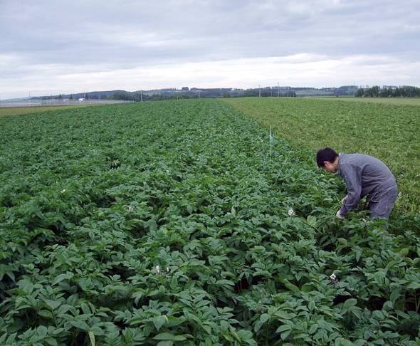 ۂ낵2016NɍtJniʐ^񋟁FJr[j