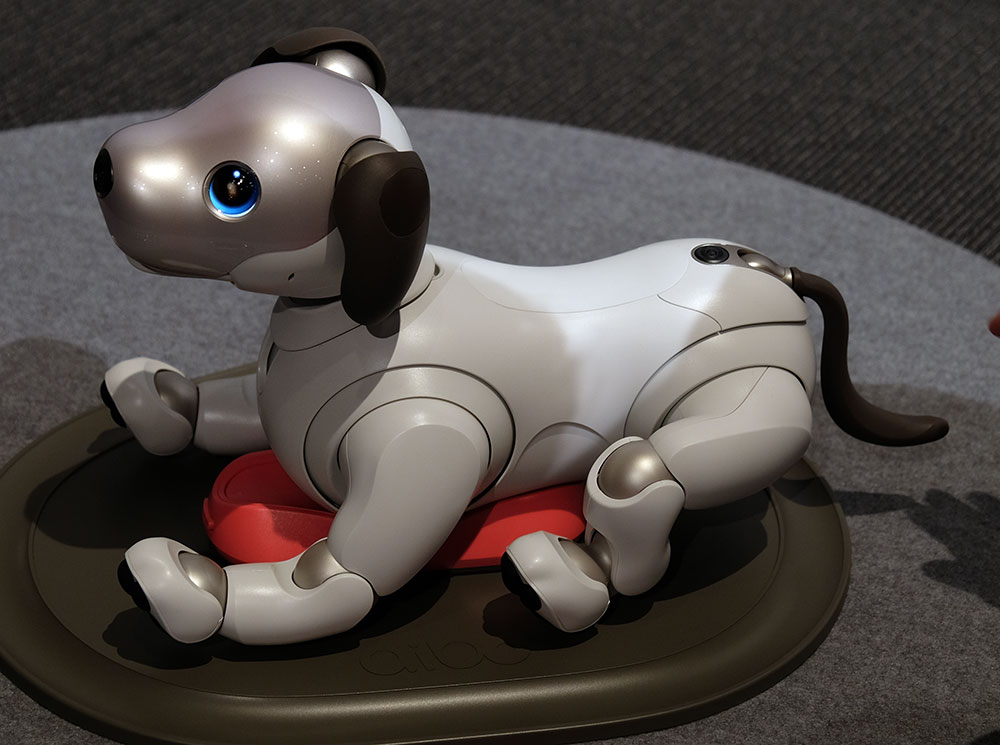 ソニーaibo aibo 黒ごま エディション | aibo