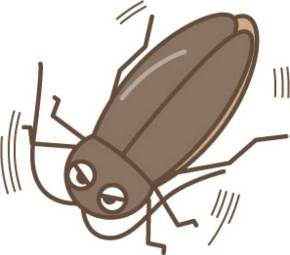 脱皮 を阻害しゴキブリ殺す 中部大学が開発 ペットに安全な毒餌 Itmedia ビジネスオンライン