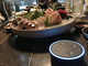 「Alexa、メニュー開いて」——渋谷の居酒屋が「Amazon Echo」を接客で試すワケ