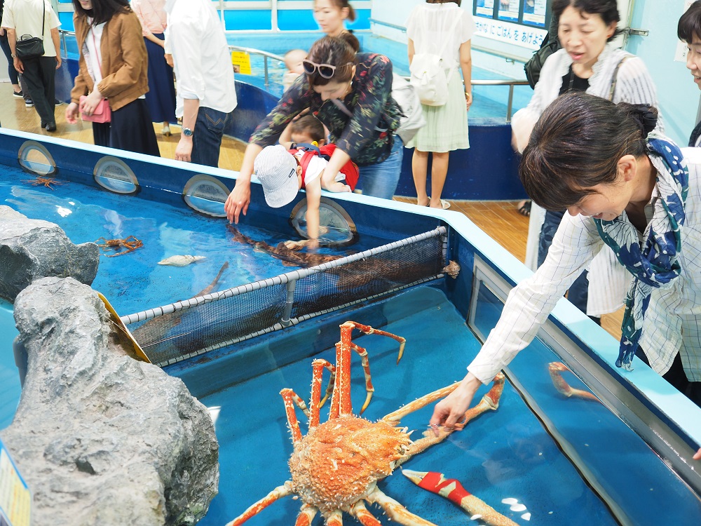 オオグソクムシにウミグモ 不気味な深海生物を食べ続ける水族館員のシンプルで真摯な理由 新連載 ショボいけど 勝てます 竹島水族館のアットホーム経営論 1 6 ページ Itmedia ビジネスオンライン