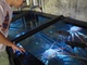 ショボい水族館を“全国区”にした「女房役」を駆り立てる危機感