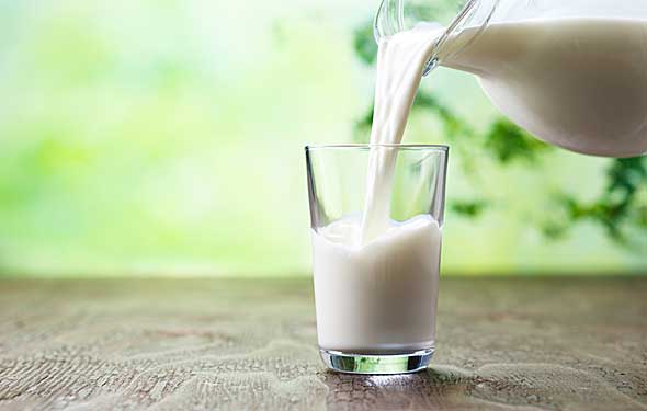 誰がミルク業界を潰したのか 米国で激化する ミルク戦争 の行方 瀕死の状態 1 4 ページ Itmedia ビジネスオンライン